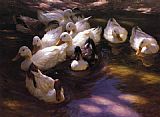 Eleven Ducks in the Morning Sun by Alexander Koester
